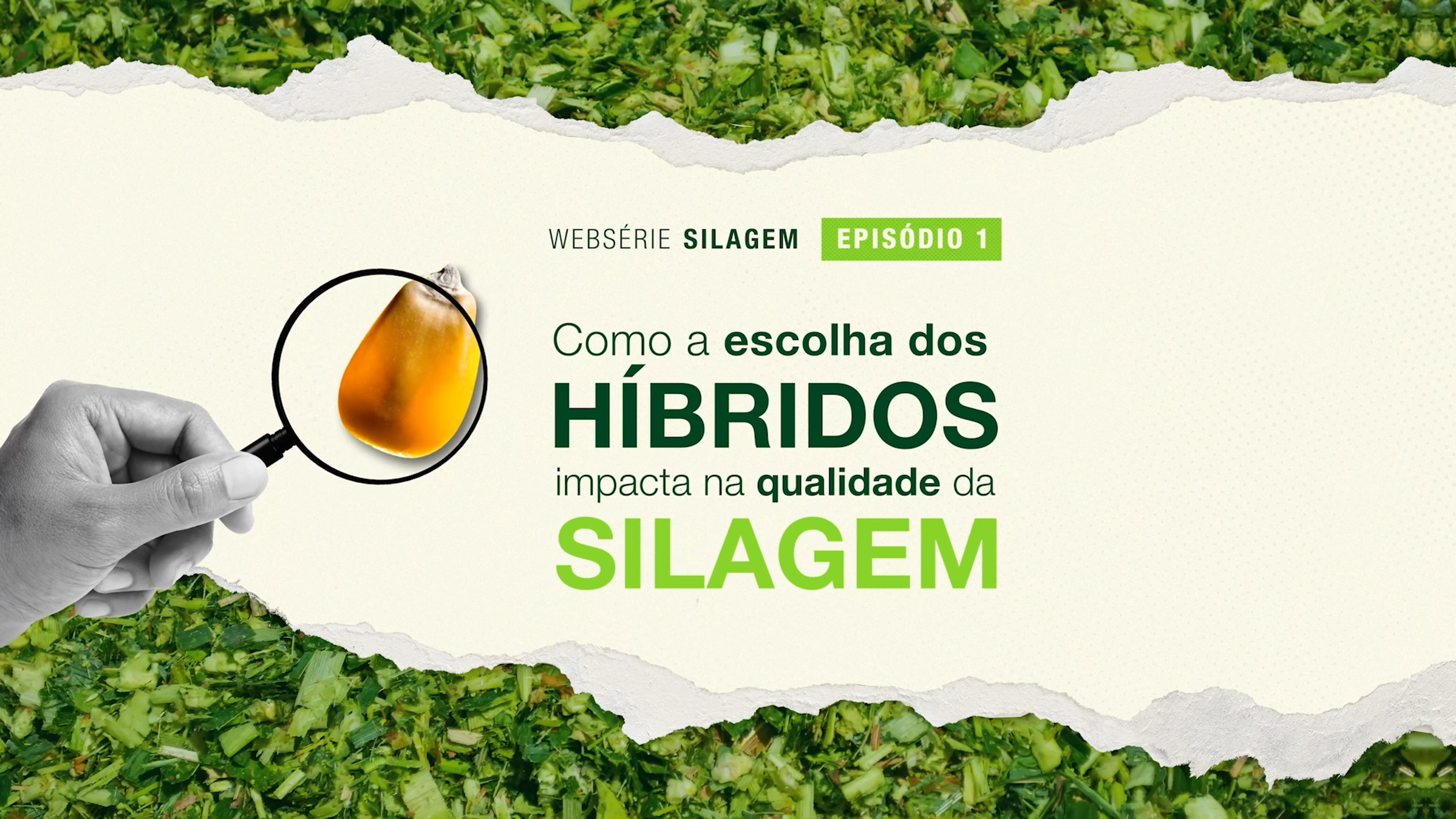 3649632 - WEB SERIE SILAGEM - EP 1 - Youtube_Op2